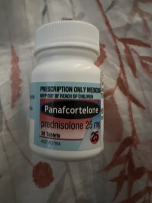 Buy Panafcortelone  Australia