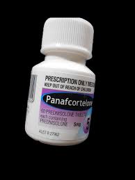Buy Prednisolone Australia 